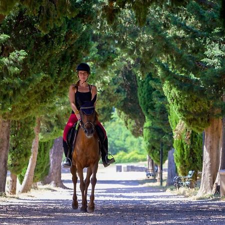 Sitno Donje Villa Marietta Equino מראה חיצוני תמונה
